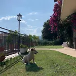 Ai Colli 4*