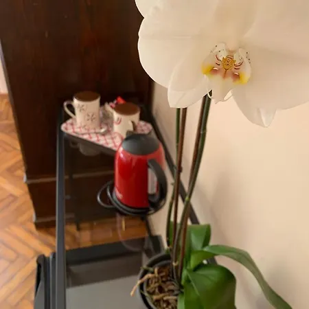 Ai Colli Maison d'hôtes Salò